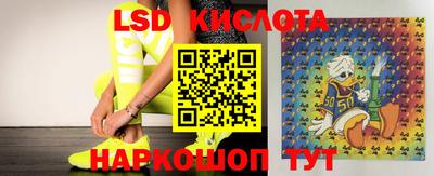 шишки Нарткала