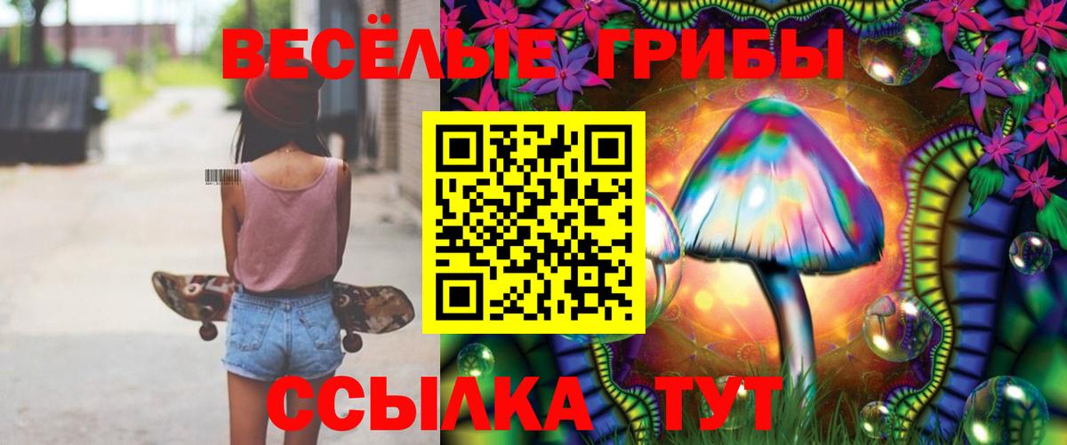 Псилоцибиновые грибы Cubensis  Вход с VPN  Шали  Псилоцибиновые грибы GOLDEN TEACHER 