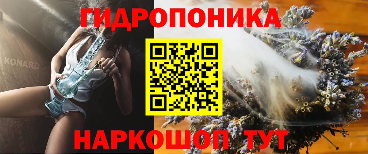 Каннабис сатива  Каннабис LSD WEED  Шали  Бошки марихуана план  Вход с VPN 